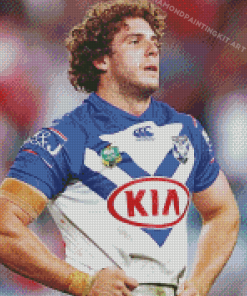 Canterbury Bulldogs Adam Elliott Diamond Paintings