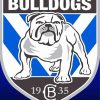 Canterbury Bulldogs Team Logo Diamond Paintings