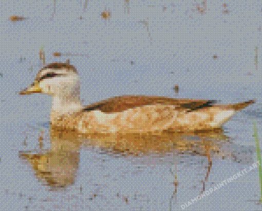 Cotton Pygmy Goose Diamond Painting