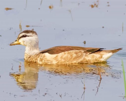 Cotton Pygmy Goose Diamond Painting