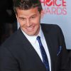 David Boreanaz Smiling Diamond Paintings