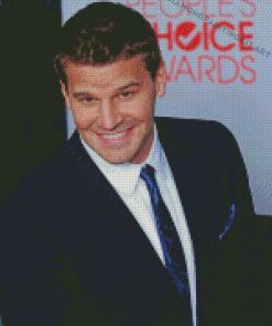 David Boreanaz Smiling Diamond Paintings