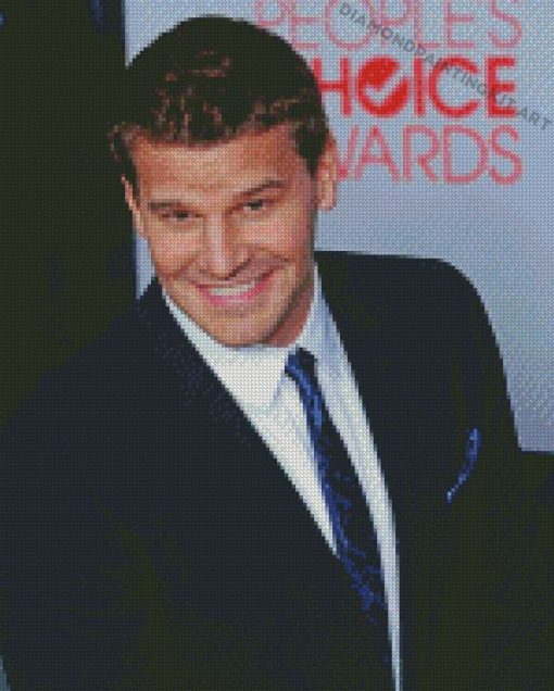 David Boreanaz Smiling Diamond Paintings