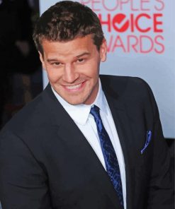 David Boreanaz Smiling Diamond Paintings