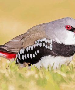 Diamond Firetail Finch Diamond Paintings