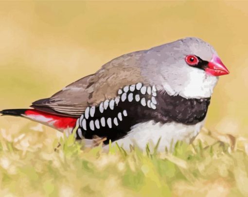 Diamond Firetail Finch Diamond Paintings