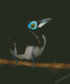 Eurylaimidae Bird Diamond Painting