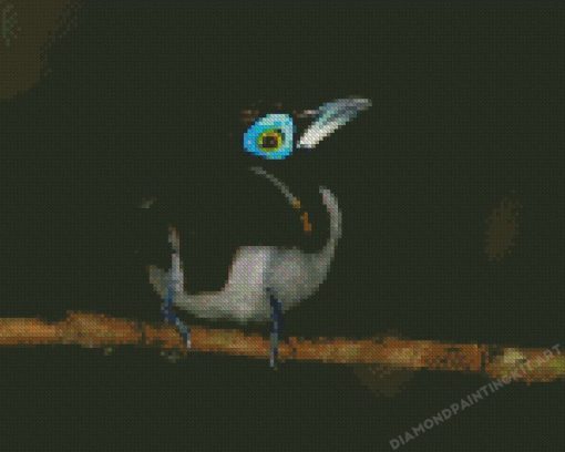 Eurylaimidae Bird Diamond Painting