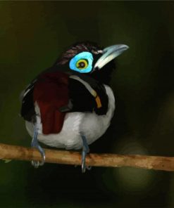 Eurylaimidae Bird Diamond Painting