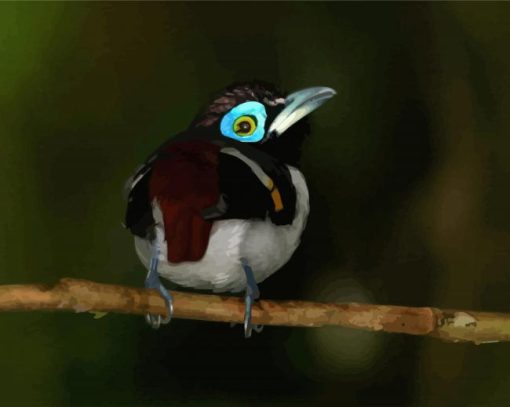 Eurylaimidae Bird Diamond Painting