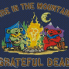 Grateful Dead Bear Poster Diamond Paintings