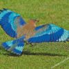 Indian Roller Bird Diamond Painting