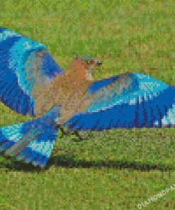 Indian Roller Bird Diamond Painting