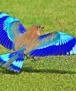 Indian Roller Bird Diamond Painting