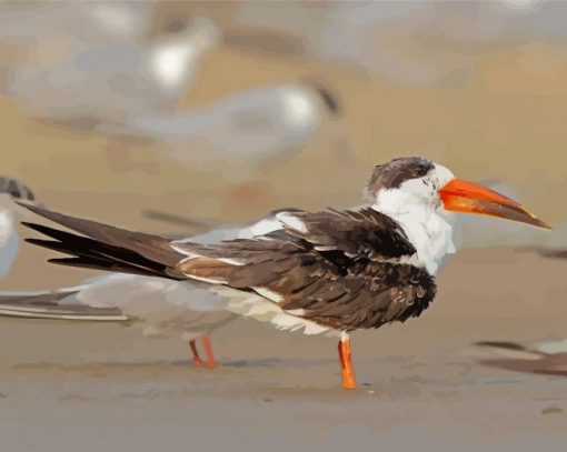 Indian Skimmer Diamond Painting