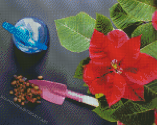 Poinsettia Diamond Paintings