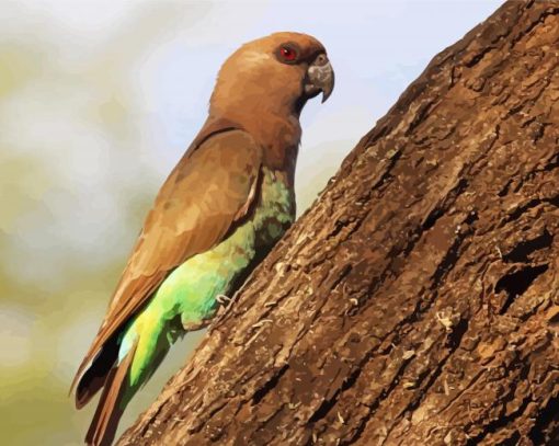 Red Bellied Parrot Bird Diamond Paintings