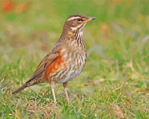 Redwing Bird Diamond Painting