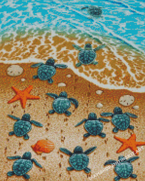 Sea Baby Turtles Diamond Paintings