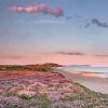 Southbourne Beach Flowers Diamond Paintings