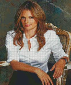 Stana Katic From Castle Diamond Paintings