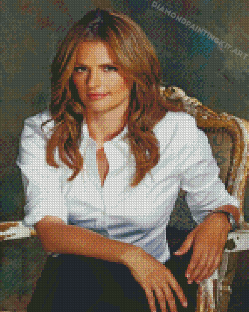 Stana Katic From Castle Diamond Paintings