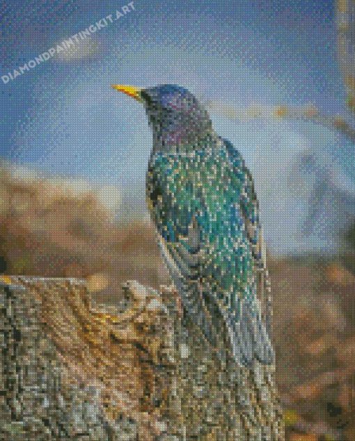 Starling Bird Back Diamond Paintings