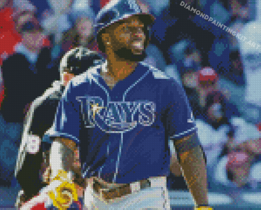 Tampa Bay Rays Player Diamond Paintings