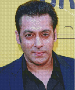 The Indian Actor Salman Khan Diamond Paintings