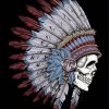 The Native American Skull Diamond Paintings