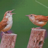 Wren Birds Diamond Paintings