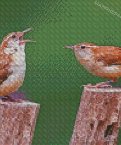 Wren Birds Diamond Paintings