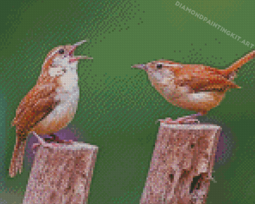 Wren Birds Diamond Paintings