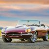 Brown Jaguar Xke Diamond Paintings