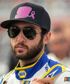 Chase Elliott Diamond Paintings