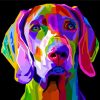 Colorful Weimaraner Dog Diamond Paintings