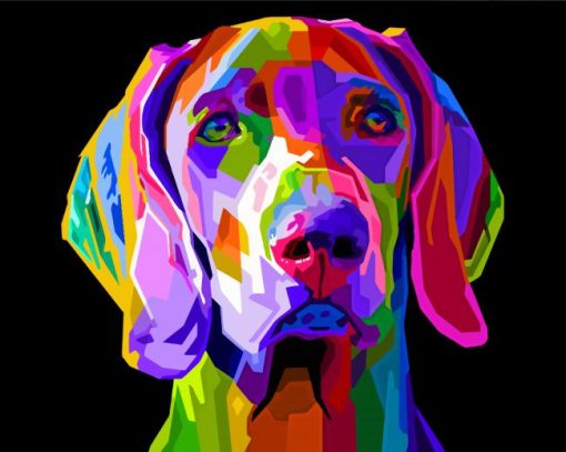 Colorful Weimaraner Dog Diamond Paintings