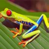 Colorful Frog Animal Diamond Paintings