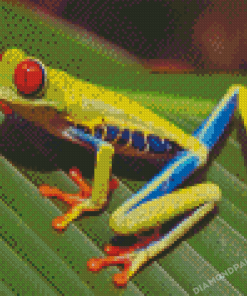 Colorful Frog Animal Diamond Paintings