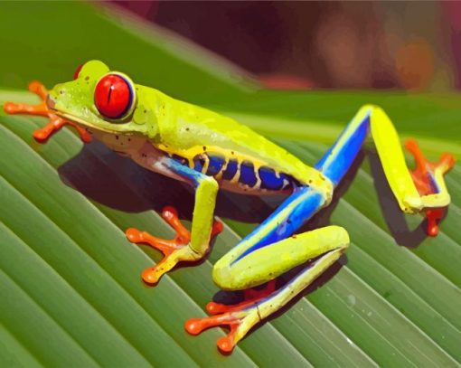 Colorful Frog Animal Diamond Paintings