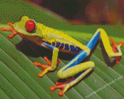 Colorful Frog Animal Diamond Paintings