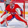 Cool Carey Price Diamond Paintings