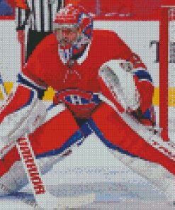 Cool Carey Price Diamond Paintings