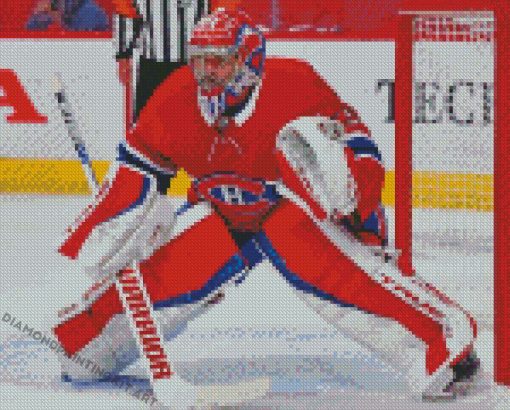 Cool Carey Price Diamond Paintings