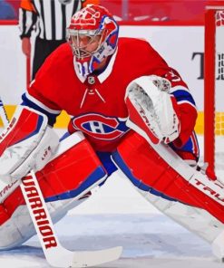 Cool Carey Price Diamond Paintings