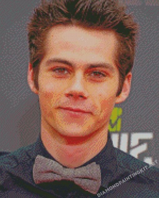 Dylan Obrien American Actor Diamond Paintings