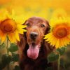 Funny Dog With Sunflowers Diamond Paintings