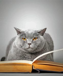 Grey Cat Reading Diamond Paintings