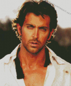 Hrithik Roshan Diamond Paintings