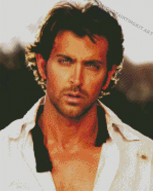 Hrithik Roshan Diamond Paintings